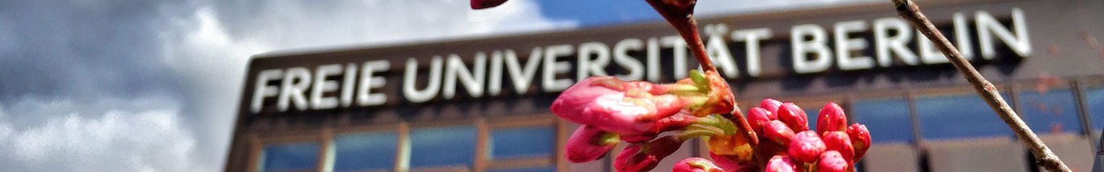 lorem ipsum dolor sit